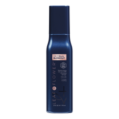 Secador de 7 Minutos de CBD